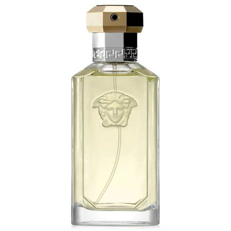 versace the one cologne|original Versace cologne men.